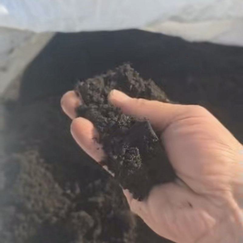 俄罗斯进口泥炭土货真价实适合高端育种花卉苗木果蔬土壤改良