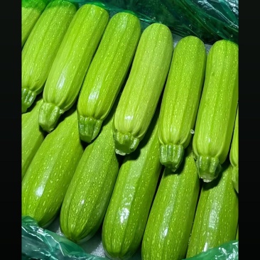 精品西胡