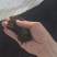 俄罗斯进口泥炭土货真价实适合高端育种花卉苗木果蔬土壤改良