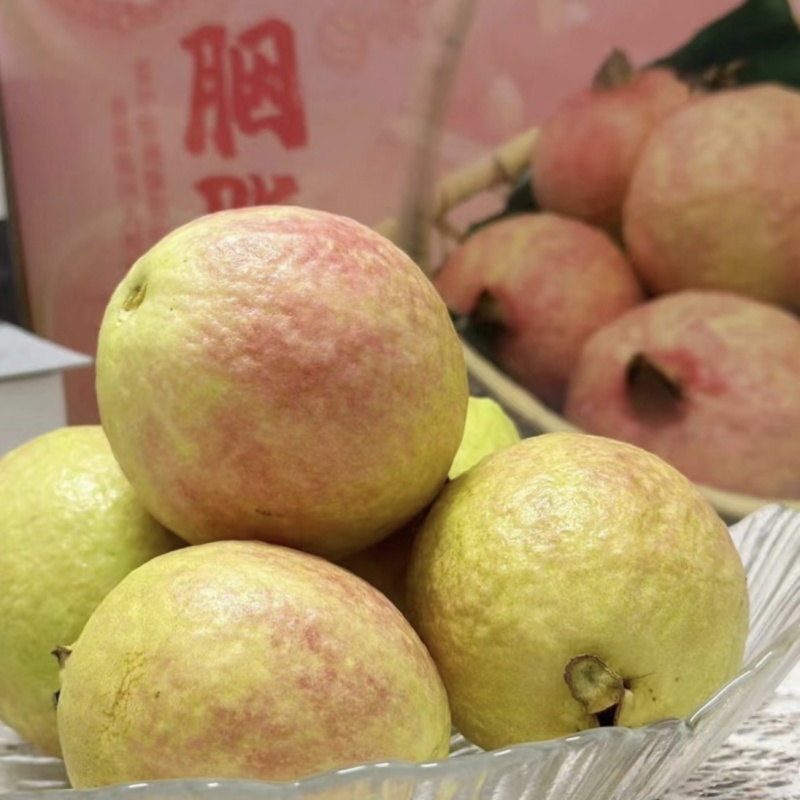 广州增城石滩胭脂红番石榴软心红心芭乐软糯香甜当季现摘水