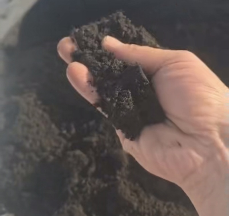 俄罗斯进口泥炭土货真价实适合高端育种花卉苗木果蔬土壤改良