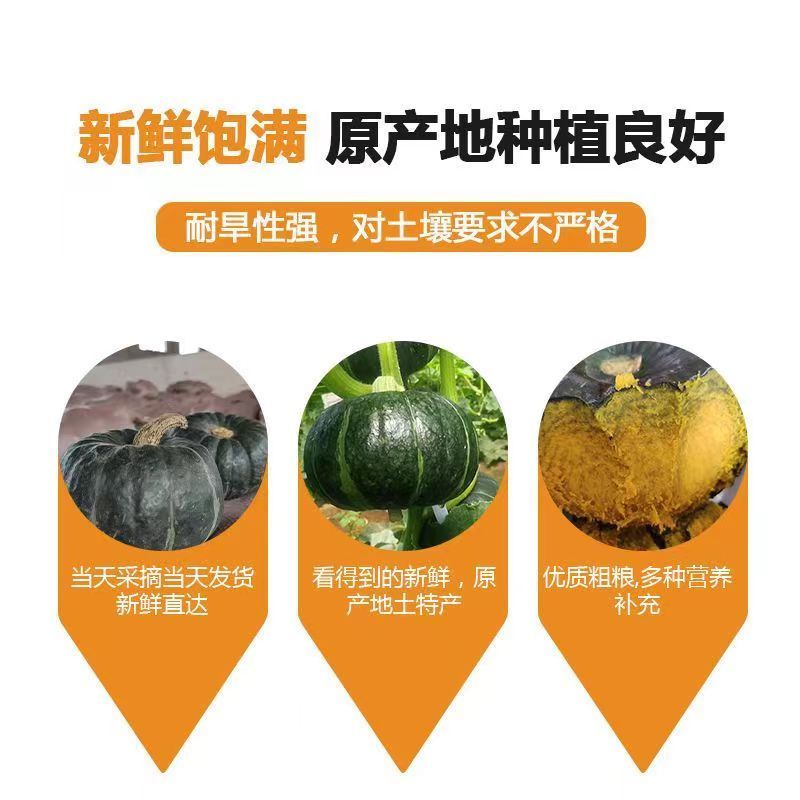 2026产地直发，万亩贝贝新货上市，毛毛钱，包质量保售后