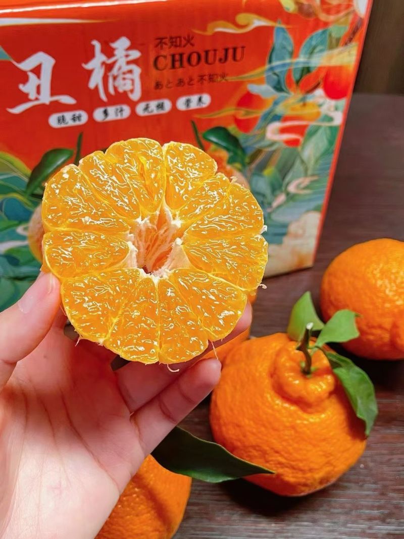 精品丑橘不知火