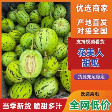 【甜！】山东花美人甜瓜新鲜现摘品质电商一件代发