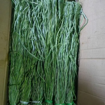 干菜香菇木耳菌菇类