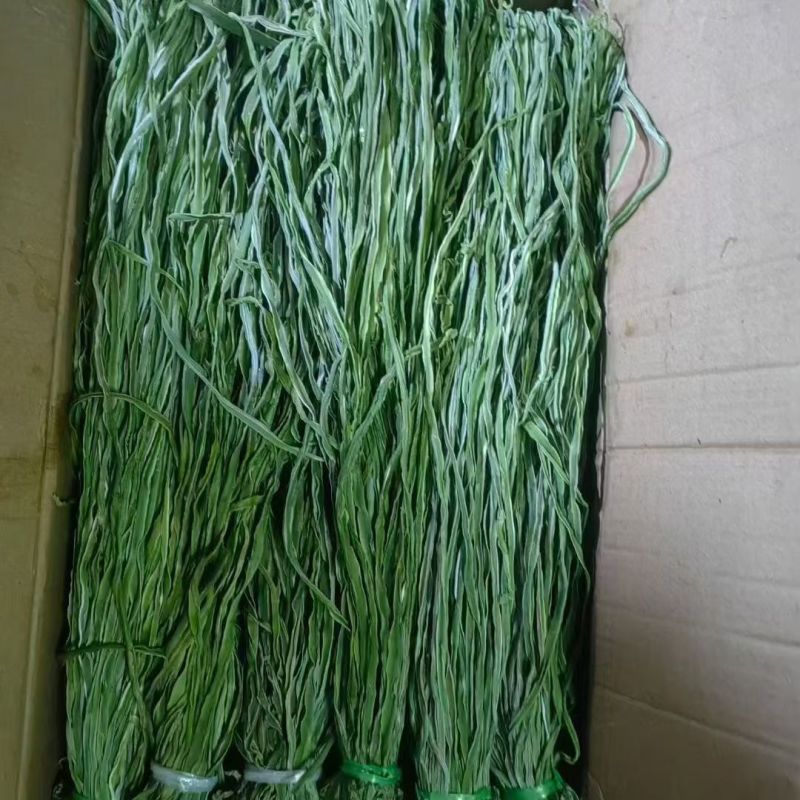 干菜香菇木耳菌菇类