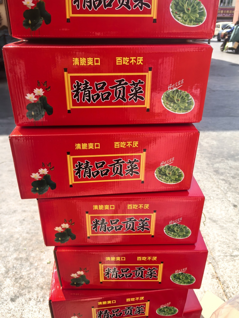 干菜香菇木耳菌菇类