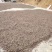 26年新山油茶果霜降籽无杂质出油率高原产地发货