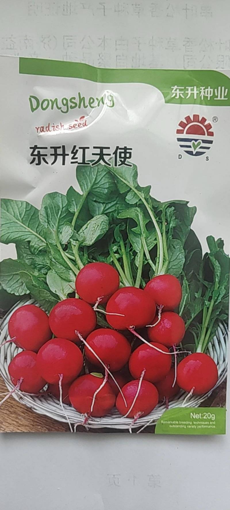 特级樱桃萝卜种子35天可以收获易种好管理