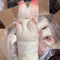 龙大母猪蹄