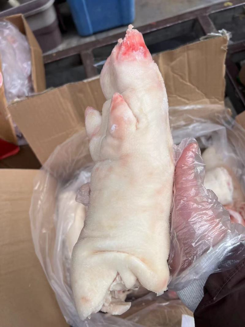 龙大母猪蹄