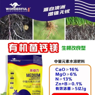 菲动力中微量元素水溶肥