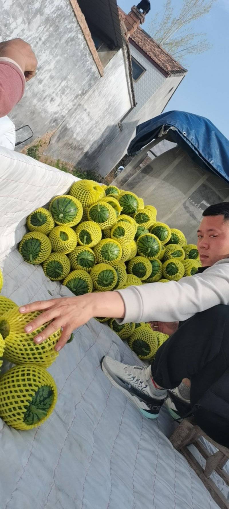 二K小糖丸糖度高口感好，需要的联系