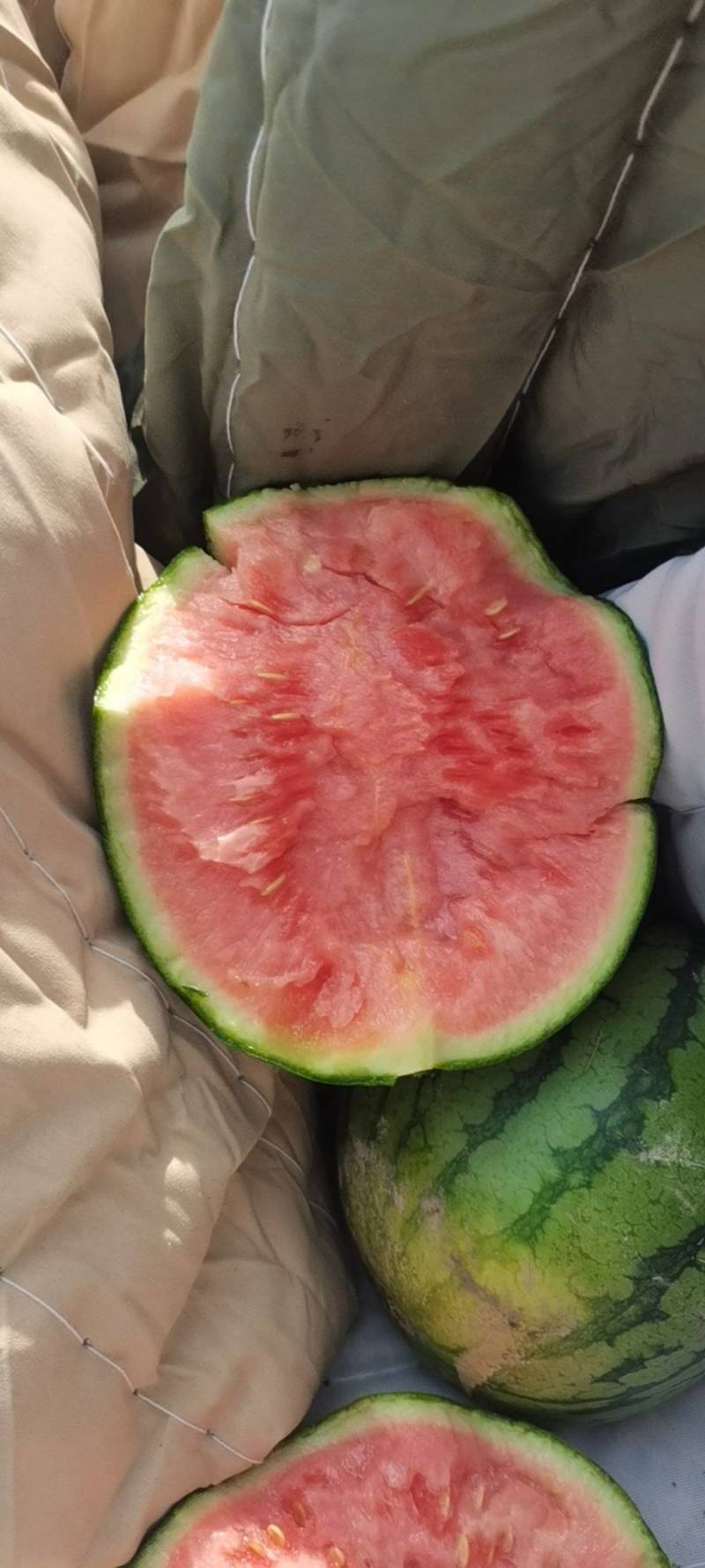 二K小糖丸糖度高口感好，需要的联系