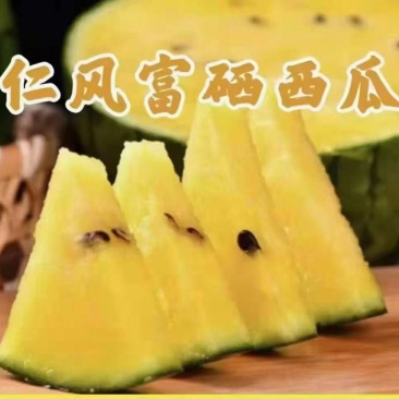 特小凤西瓜，富硒西瓜，小兰西瓜，【仁风西瓜之乡】