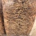 茶树菇大量现货厂地直销规格齐全全国发货欢迎合作