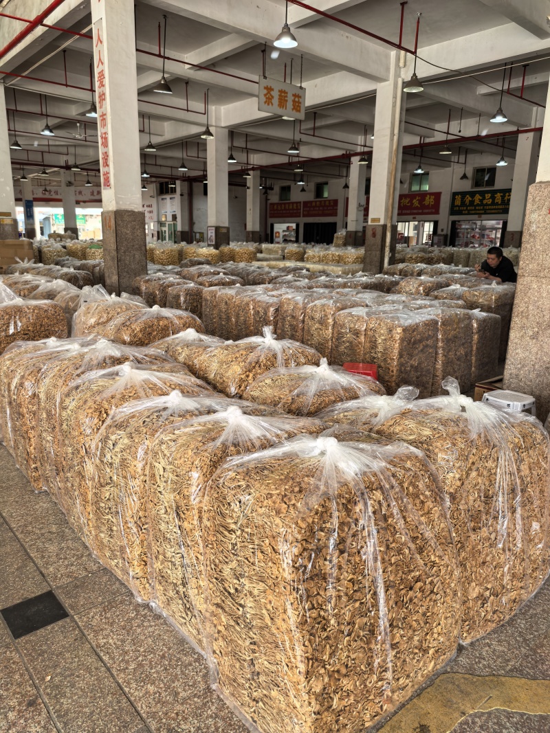 茶树菇大量现货厂地直销规格齐全全国发货欢迎合作
