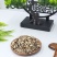 石菖蒲中药材野生正品正宗石菖蒲保质保量各种规格批发零售