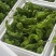 芜湖椒大量上市基地直供品质优可视频看货欢迎咨询来电
