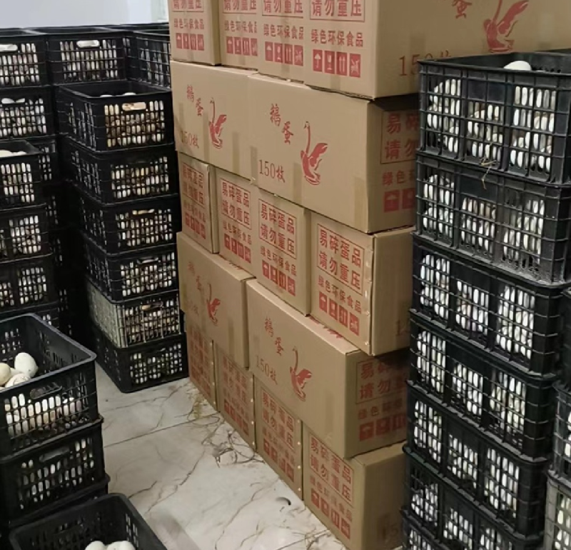 精选广东土鹅蛋，散黄蛋，大量现货，欢迎咨询选购，诚信经营