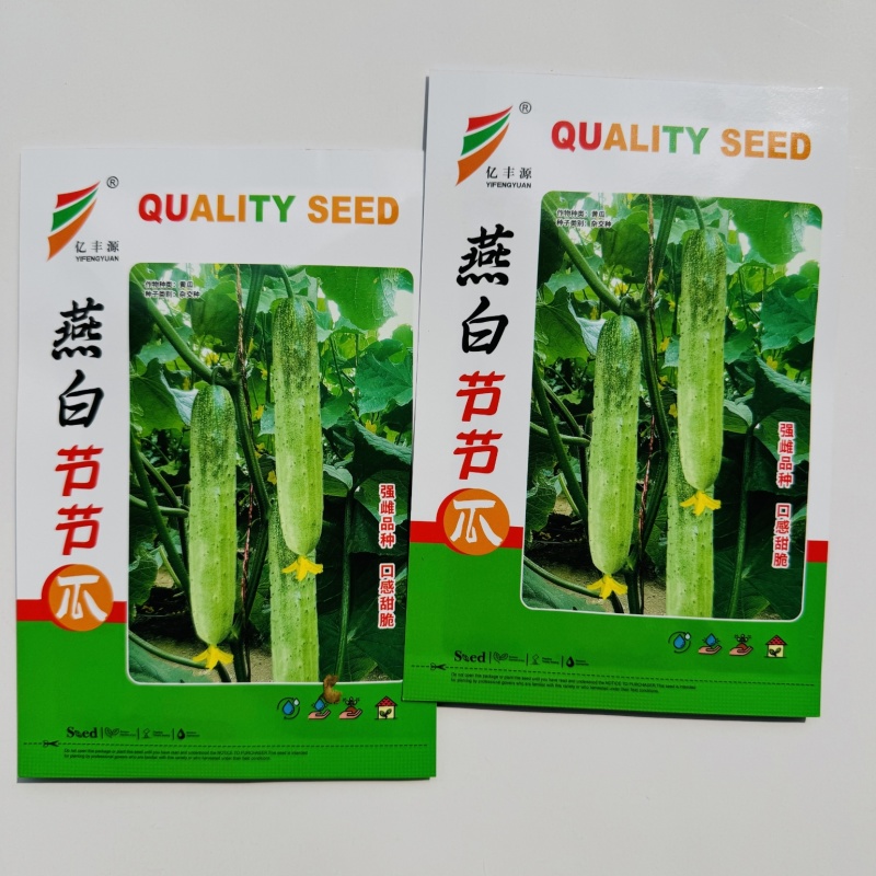燕白节节瓜种子强雌性燕白黄瓜种子清香杂交瓜条顺直亮绿白色