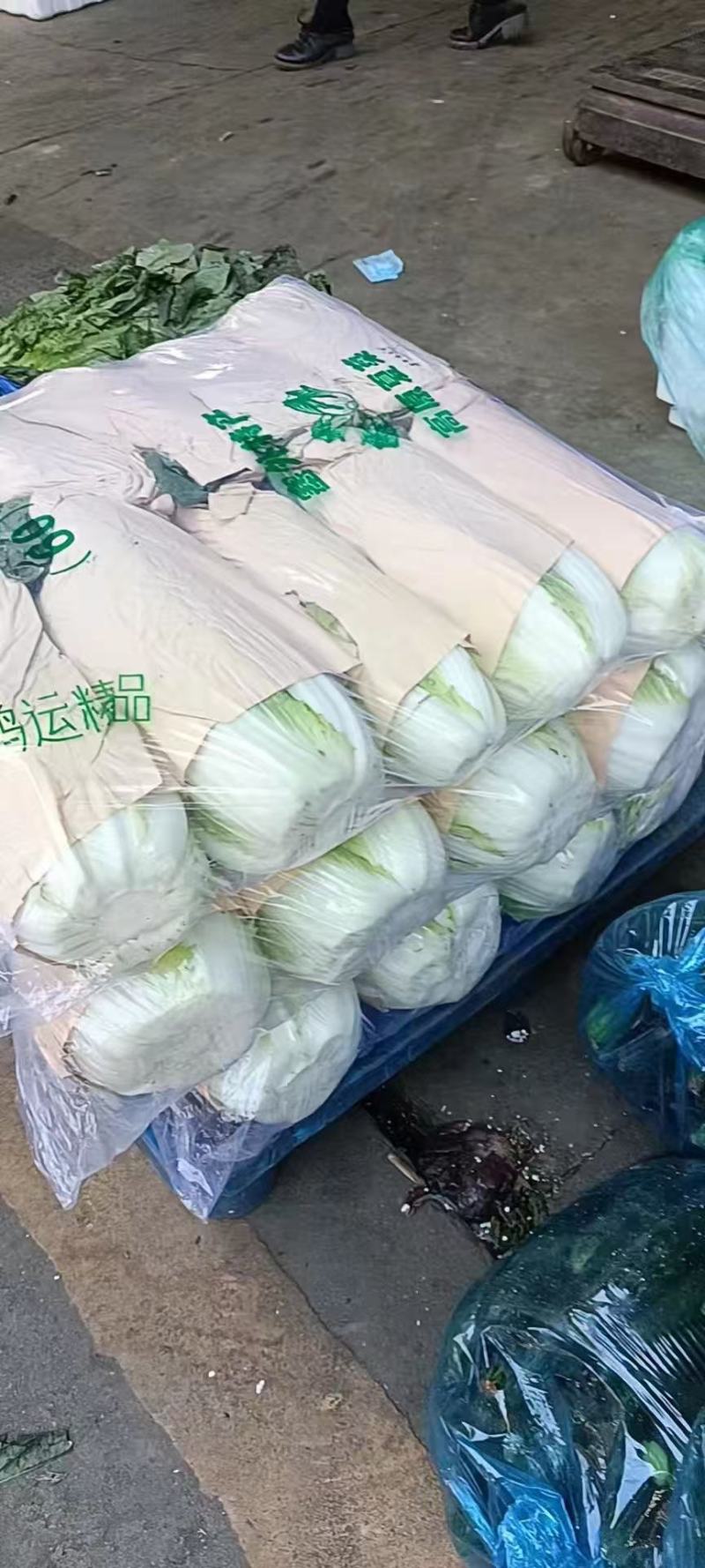 黄心白菜大量有货基地直供品质优可视频看货欢迎咨询来电