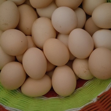 正宗农村土鸡蛋