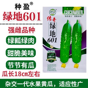 种盈传奇绿地601黄瓜种子强雌水果黄瓜种子耐热绿皮绿肉