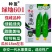 种盈传奇绿地601黄瓜种子强雌水果黄瓜种子耐热绿皮绿肉