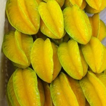 红龙杨桃
