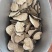 云南玛卡片黑玛卡片纯干货货源充足