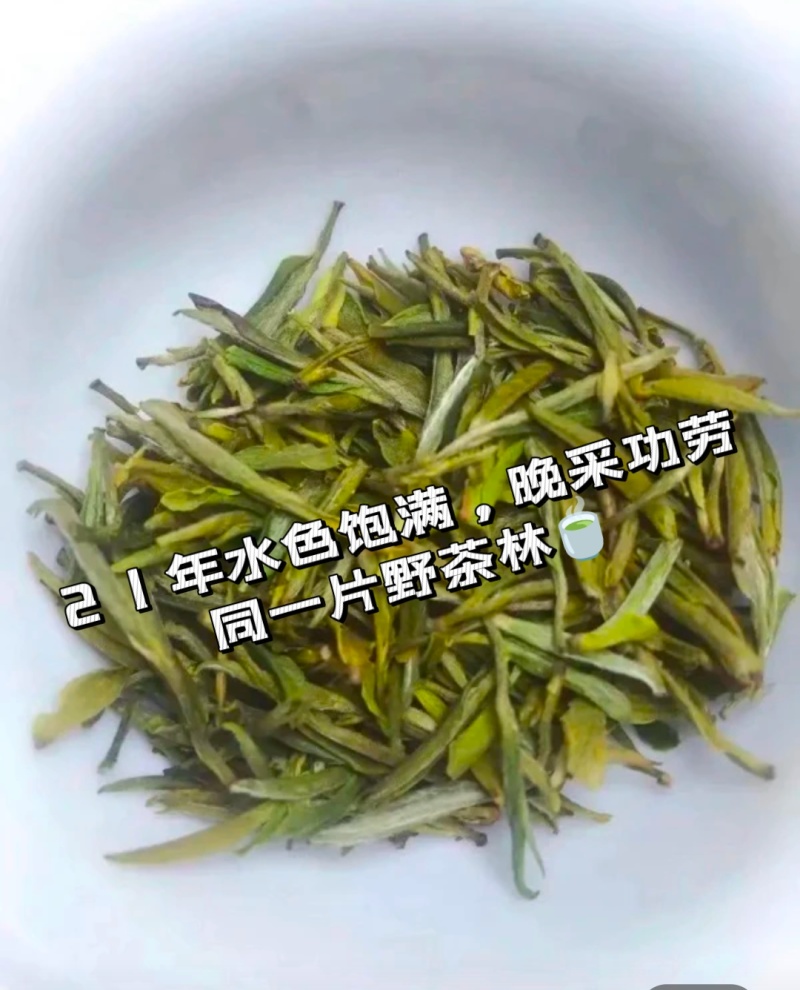 特级野生有机茶2000元/斤，每年货很少，零0️⃣农残！