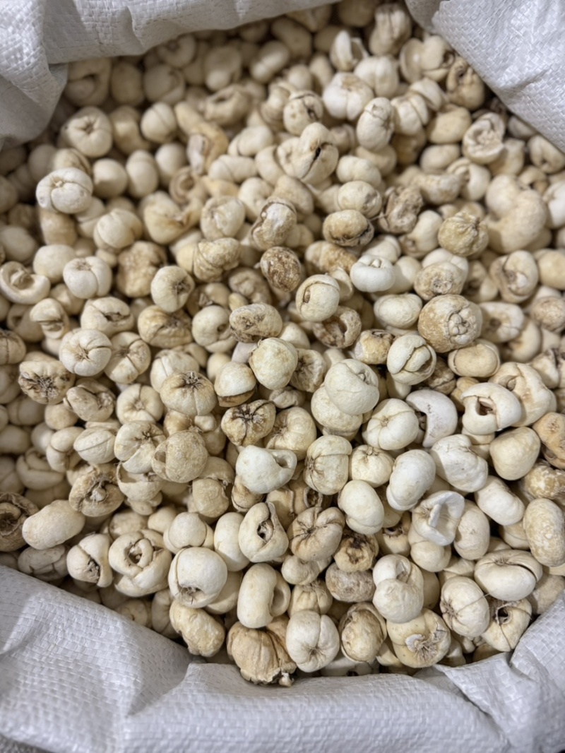 浙贝母大贝母个规格齐全质量保证无硫新货