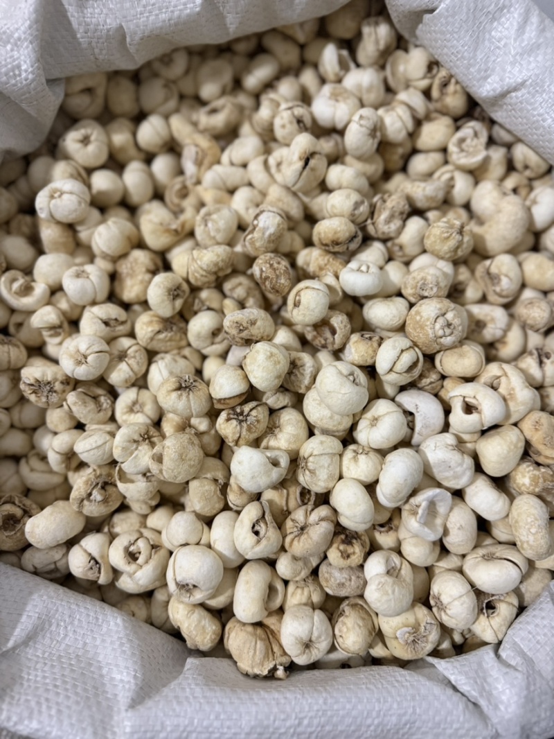 浙贝母大贝母个规格齐全质量保证无硫新货