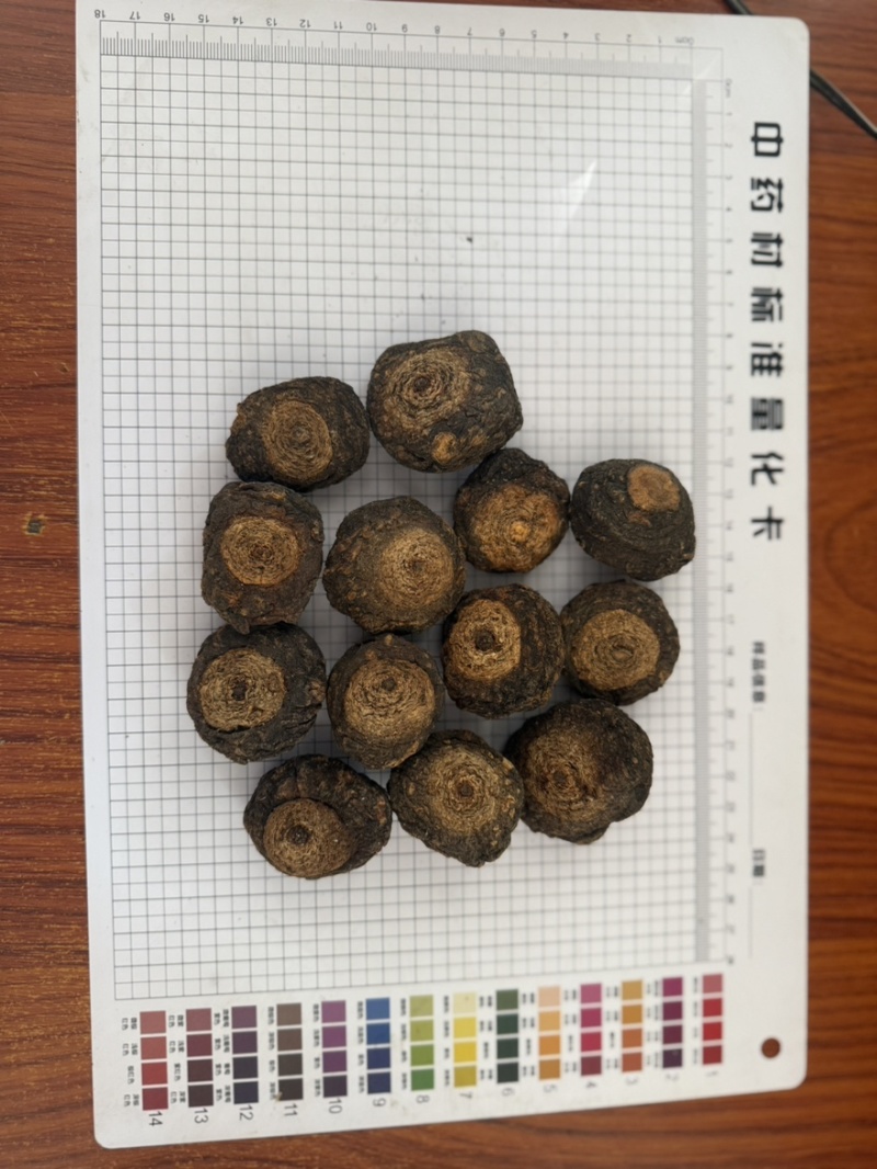 云南黑玛卡玛卡个品质保证规格齐全