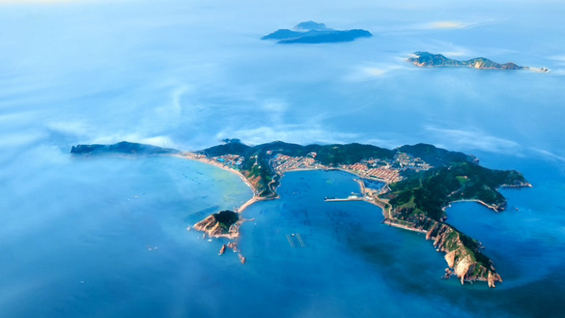 长岛海带一级干净无沙出口级量大包邮