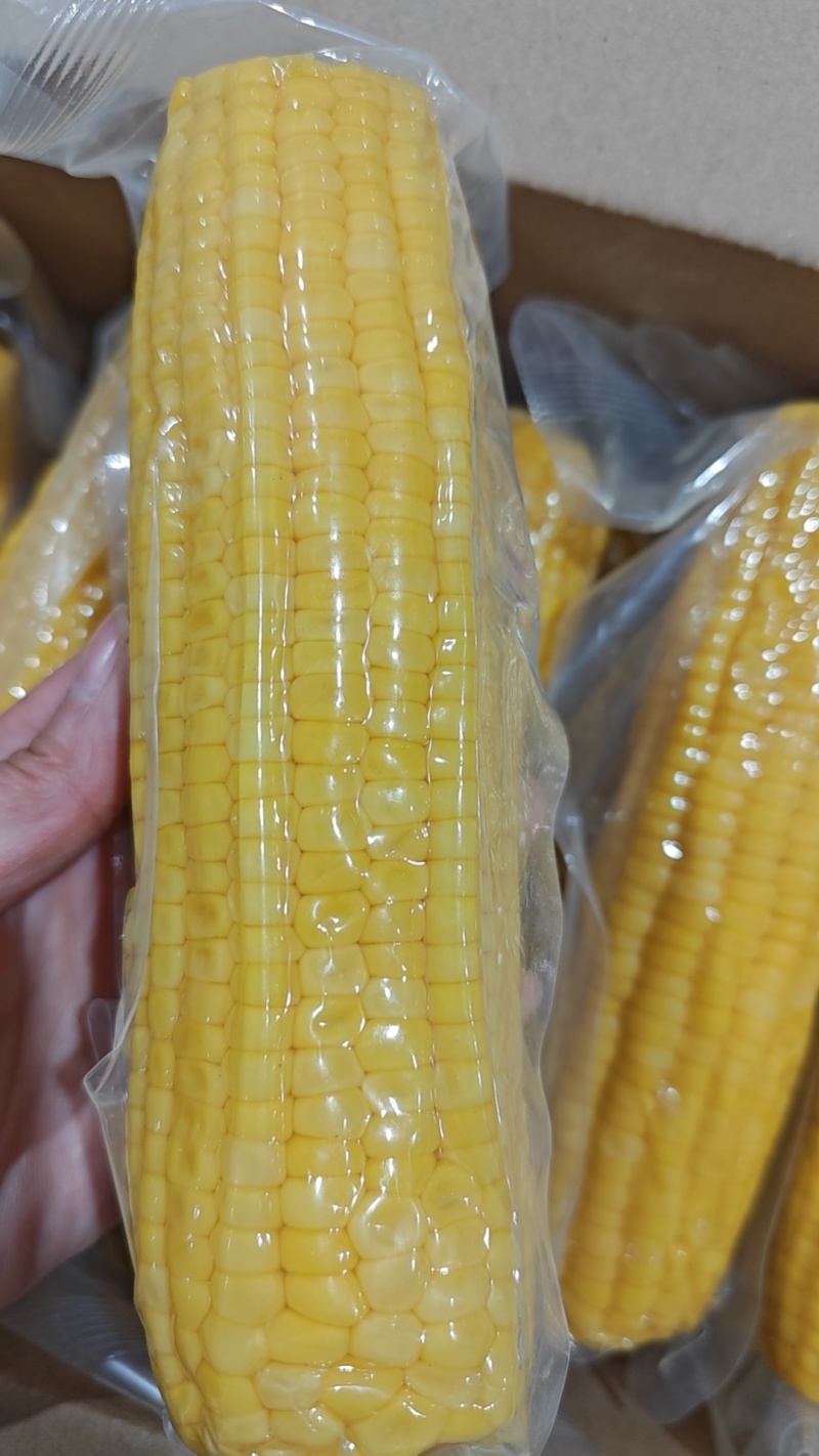 hg袋水果玉米可代发