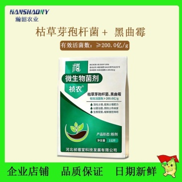 枯草芽孢菌杆菌黑曲霉微生物菌剂根腐农用土壤微生物菌