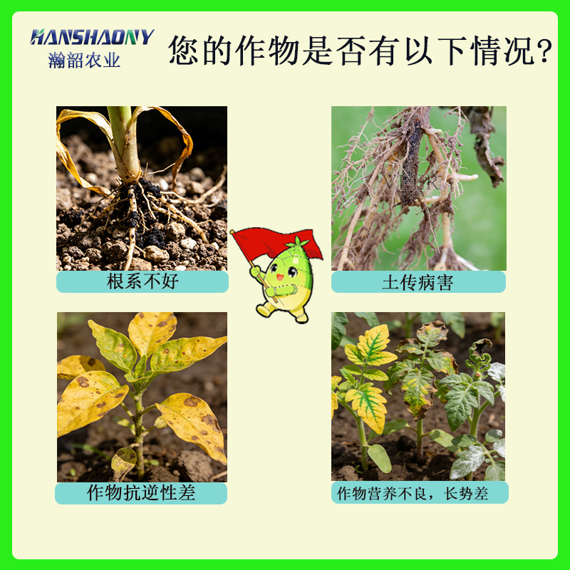 枯草芽孢菌杆菌黑曲霉微生物菌剂根腐农用土壤微生物菌