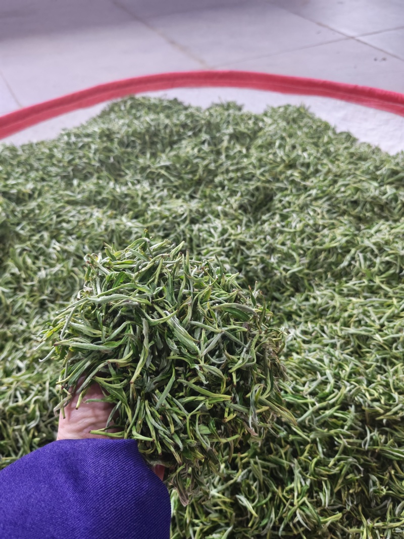 湘西黄金茶（绿茶，红茶）