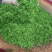 湘西黄金茶（绿茶，红茶）