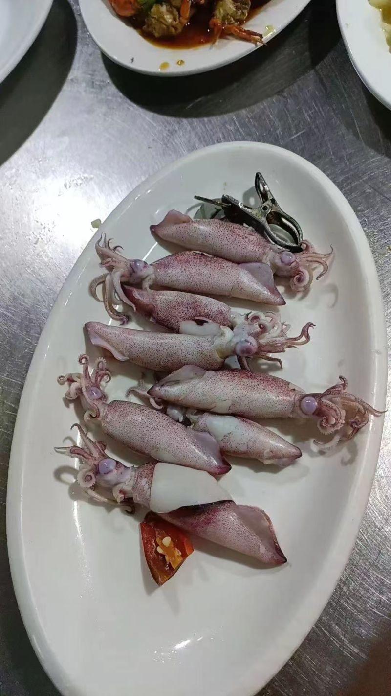 一口管鱿鱼，品质上乘，对接全国各地餐饮，市场商超各类客商