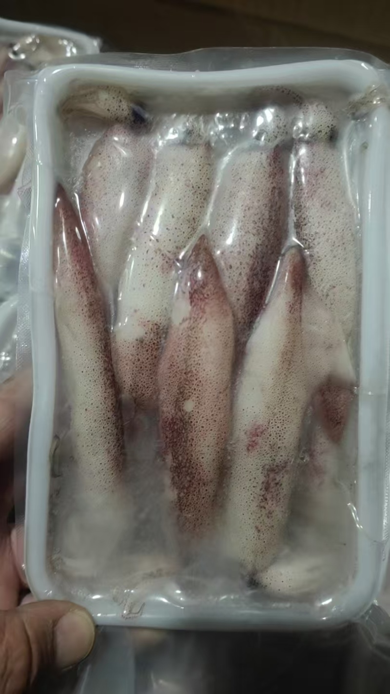 一口管鱿鱼，品质上乘，对接全国各地餐饮，市场商超各类客商