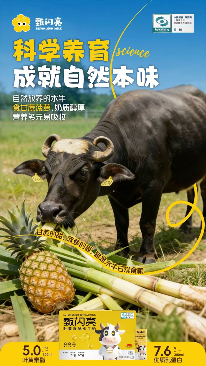 甄闪亮叶黄素营养品牛奶