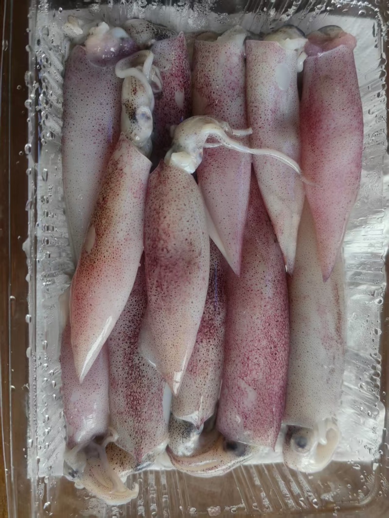 小小母管(带籽带膏)品质上乘，对接全国各地客商前来洽谈合