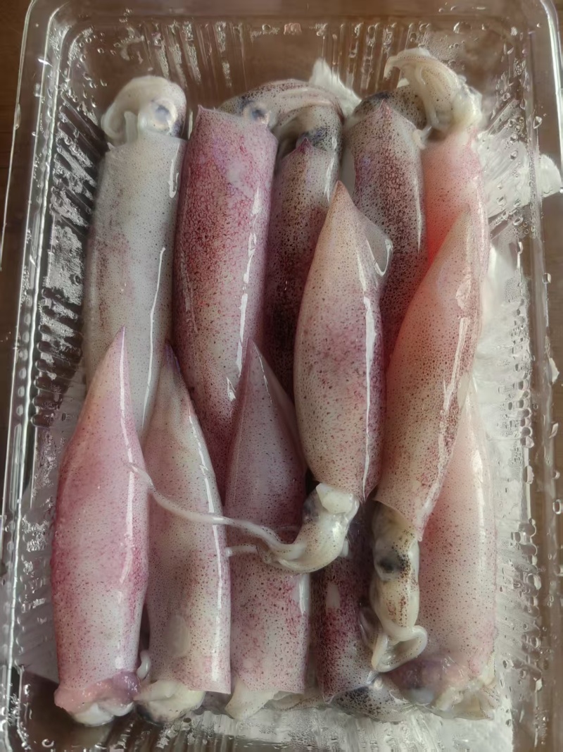 小小母管(带籽带膏)品质上乘，对接全国各地客商前来洽谈合