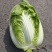 精品黄心大白菜已大量上市