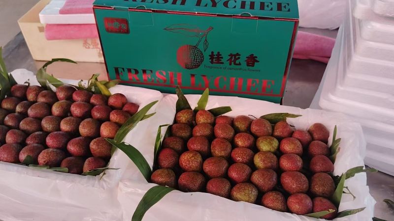 桂花香荔枝