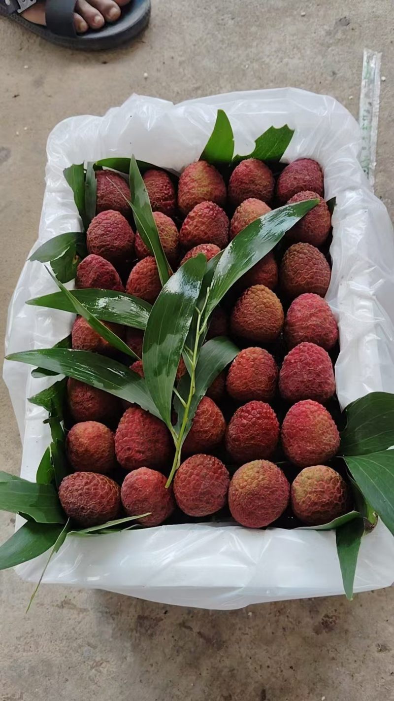 桂花香荔枝