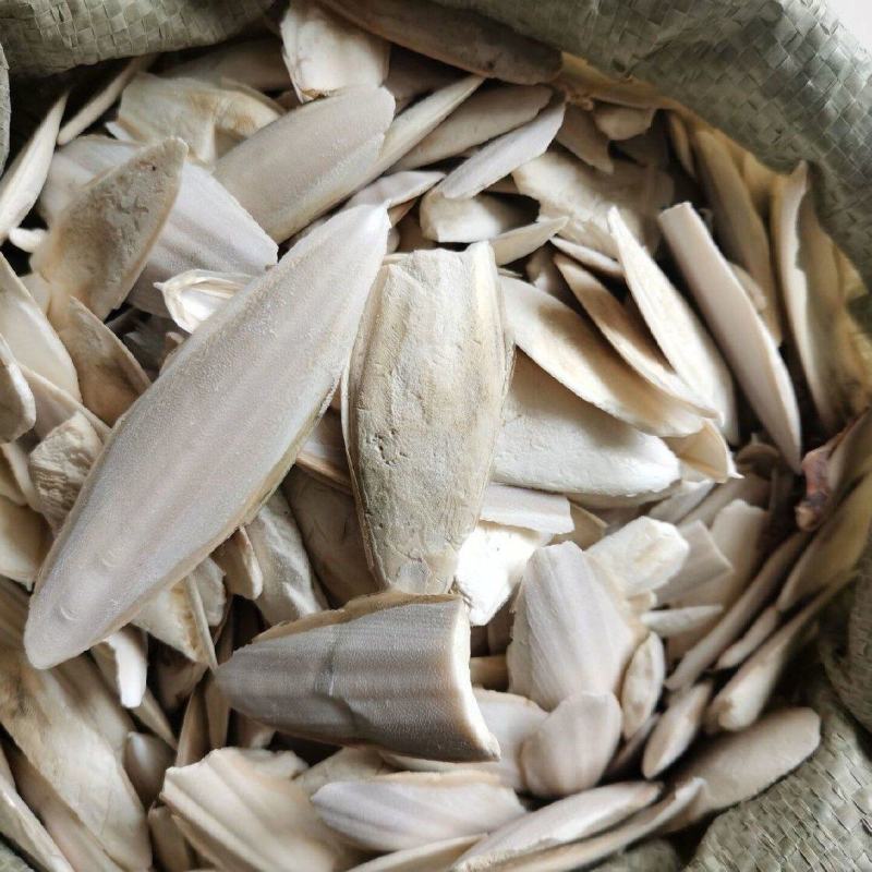 海螵蛸中药材乌贼骨墨鱼骨海蛸各种规格保质保量批发零售